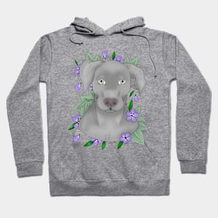 Silver lab Hoodie